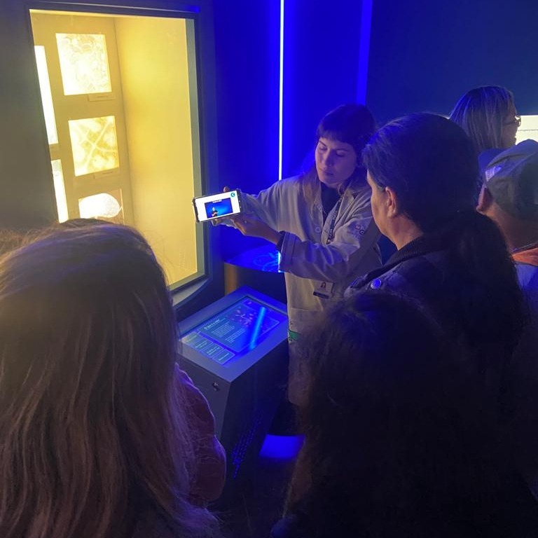 WhatsApp Image 2026 02 19 at 14.57.51