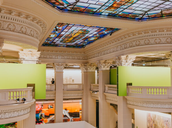 {{brizy_dc_image_alt entityId=